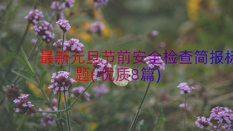 最新元旦节前安全检查简报标题(优质8篇)