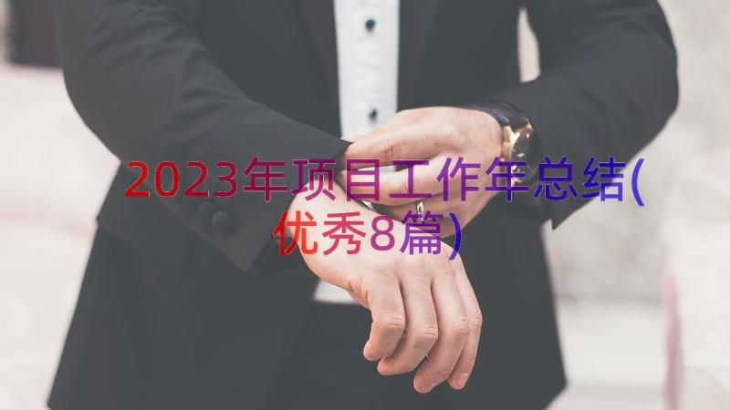 2023年项目工作年总结(优秀8篇)