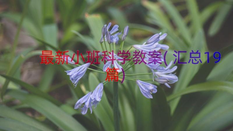 最新小班科学教案(汇总19篇)