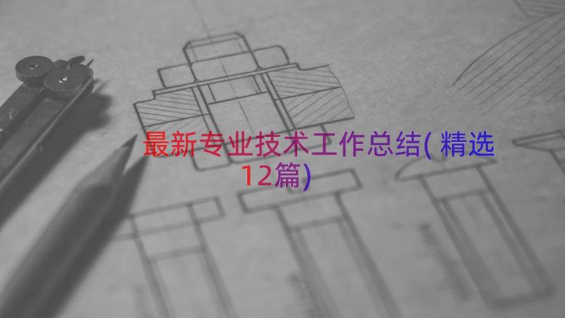 最新专业技术工作总结(精选12篇)