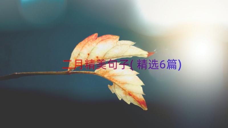 二月精美句子(精选6篇)