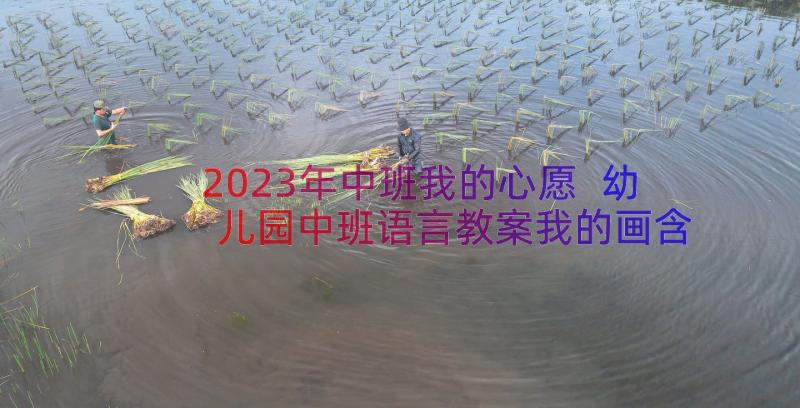 2023年中班我的心愿 幼儿园中班语言教案我的画含反思(大全12篇)