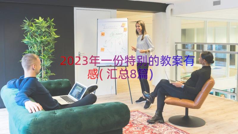 2023年一份特别的教案有感(汇总8篇)