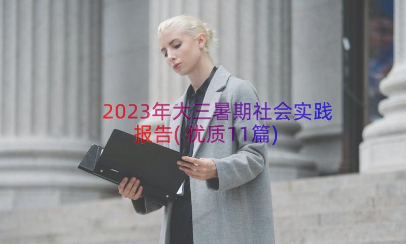 2023年大三暑期社会实践报告(优质11篇)