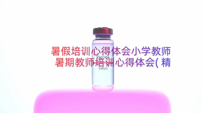 暑假培训心得体会小学教师 暑期教师培训心得体会(精选19篇)