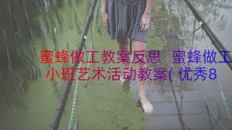 蜜蜂做工教案反思 蜜蜂做工小班艺术活动教案(优秀8篇)