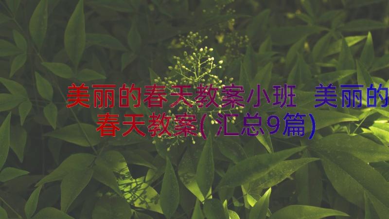 美丽的春天教案小班 美丽的春天教案(汇总9篇)