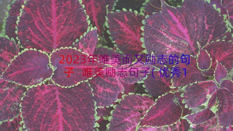 2023年唯美而又励志的句子 唯美励志句子(优秀10篇)