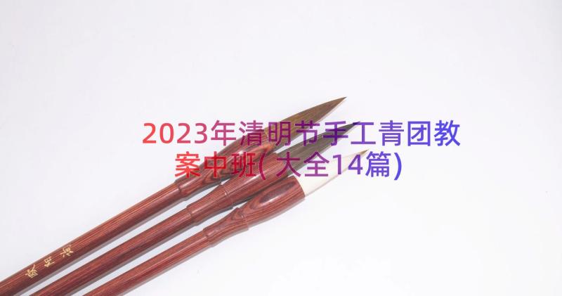 2023年清明节手工青团教案中班(大全14篇)