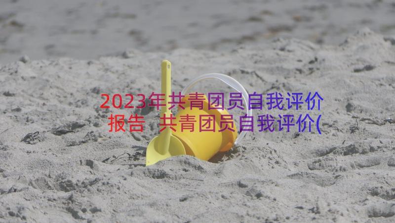 2023年共青团员自我评价报告 共青团员自我评价(精选13篇)