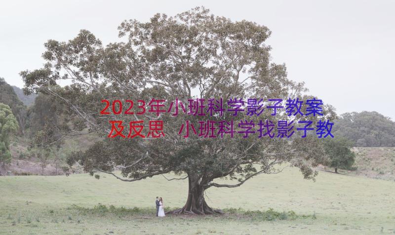 2023年小班科学影子教案及反思 小班科学找影子教案(精选8篇)