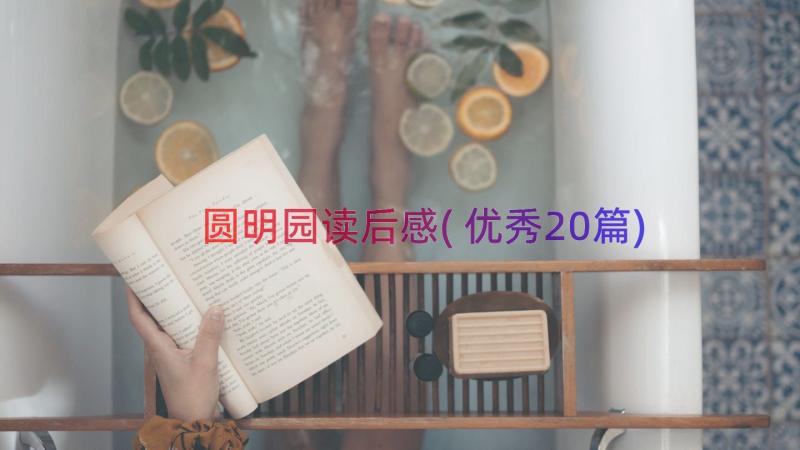 圆明园读后感(优秀20篇)