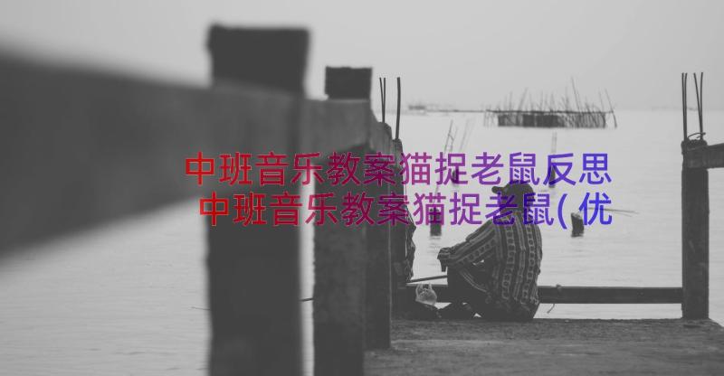 中班音乐教案猫捉老鼠反思 中班音乐教案猫捉老鼠(优秀9篇)