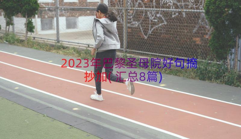 2023年巴黎圣母院好句摘抄加(汇总8篇)