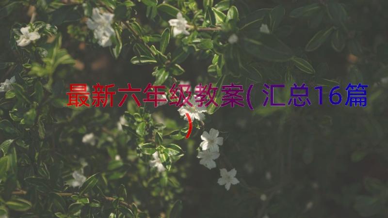 最新六年级教案(汇总16篇)