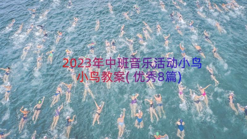 2023年中班音乐活动小鸟小鸟教案(优秀8篇)