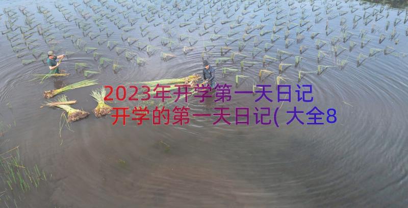 2023年开学第一天日记 开学的第一天日记(大全8篇)