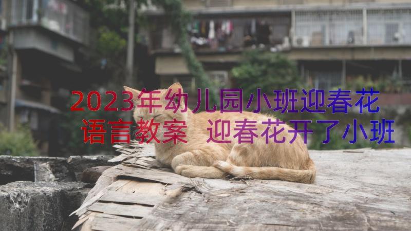 2023年幼儿园小班迎春花语言教案 迎春花开了小班数学教案(优质8篇)