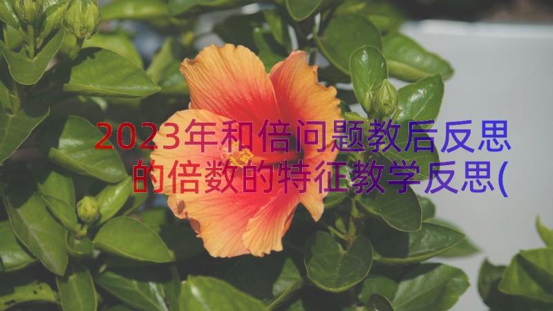 2023年和倍问题教后反思 的倍数的特征教学反思(模板19篇)