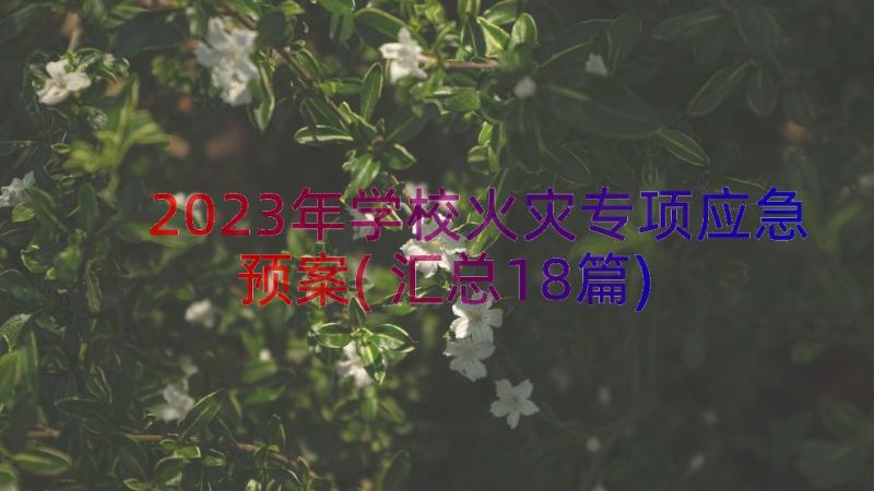 2023年学校火灾专项应急预案(汇总18篇)