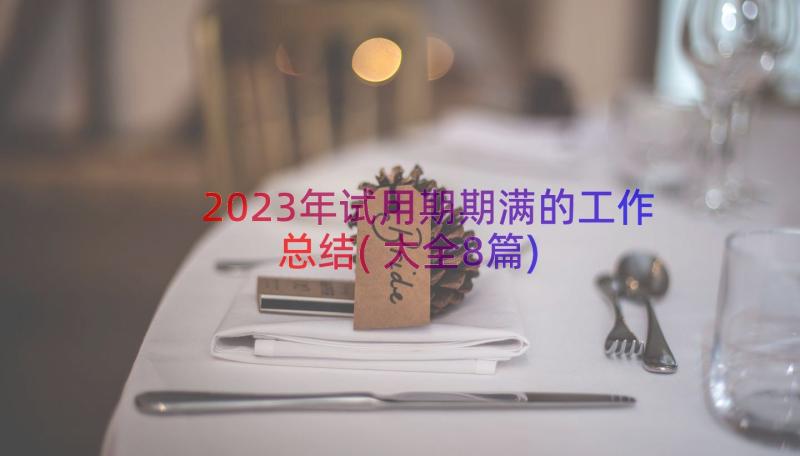 2023年试用期期满的工作总结(大全8篇)