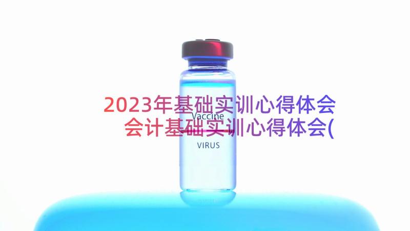 2023年基础实训心得体会 会计基础实训心得体会(通用8篇)