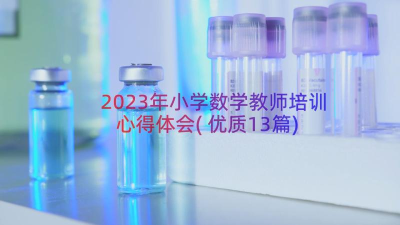 2023年小学数学教师培训心得体会(优质13篇)