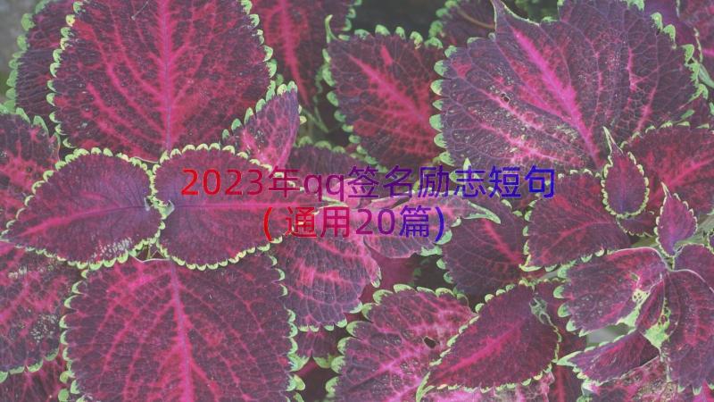 2023年qq签名励志短句(通用20篇)