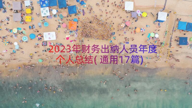 2023年财务出纳人员年度个人总结(通用17篇)