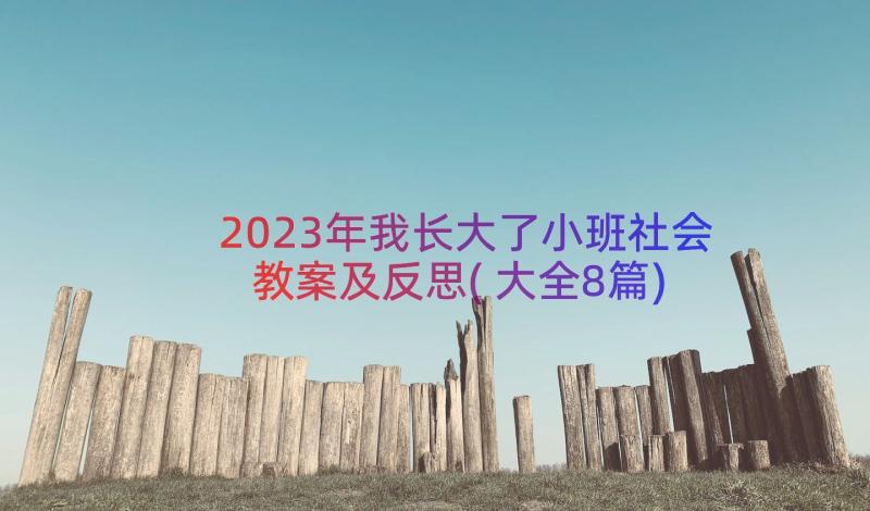 2023年我长大了小班社会教案及反思(大全8篇)