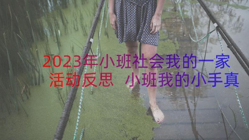 2023年小班社会我的一家活动反思 小班我的小手真能干社会教案(优质15篇)