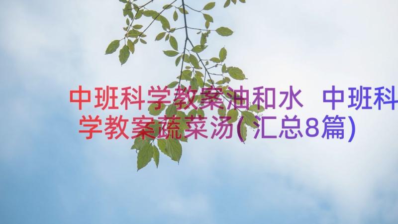 中班科学教案油和水 中班科学教案蔬菜汤(汇总8篇)