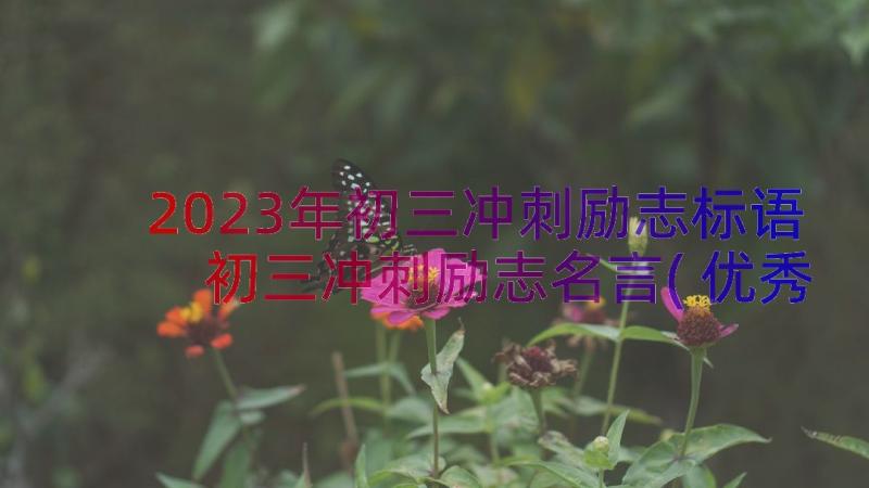 2023年初三冲刺励志标语 初三冲刺励志名言(优秀15篇)