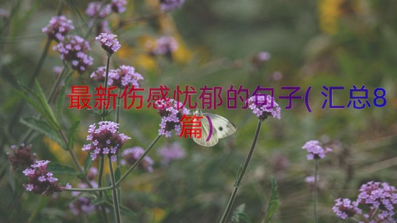 最新伤感忧郁的句子(汇总8篇)