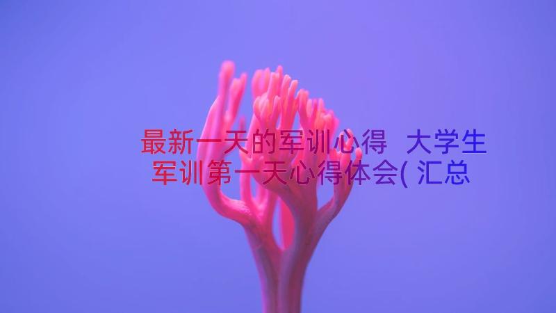 最新一天的军训心得 大学生军训第一天心得体会(汇总8篇)