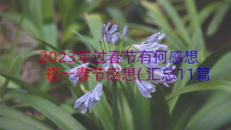 2023年过春节有何感想 初一春节感想(汇总11篇)