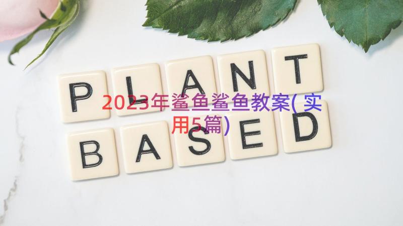 2023年鲨鱼鲨鱼教案(实用5篇)