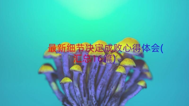 最新细节决定成败心得体会(汇总16篇)