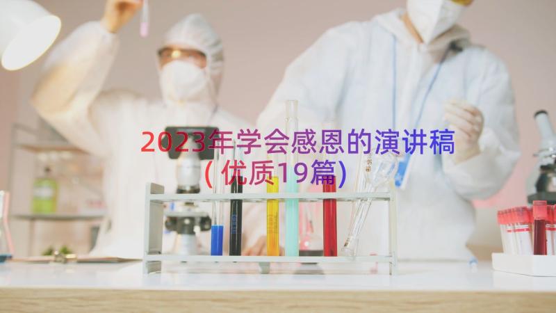 2023年学会感恩的演讲稿(优质19篇)