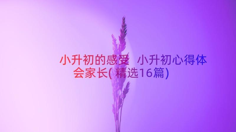 小升初的感受 小升初心得体会家长(精选16篇)