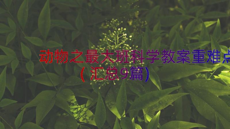 动物之最大班科学教案重难点(汇总9篇)