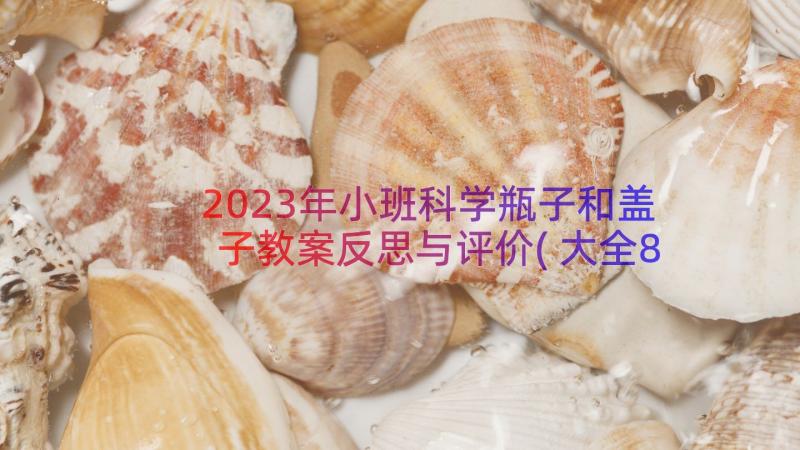 2023年小班科学瓶子和盖子教案反思与评价(大全8篇)