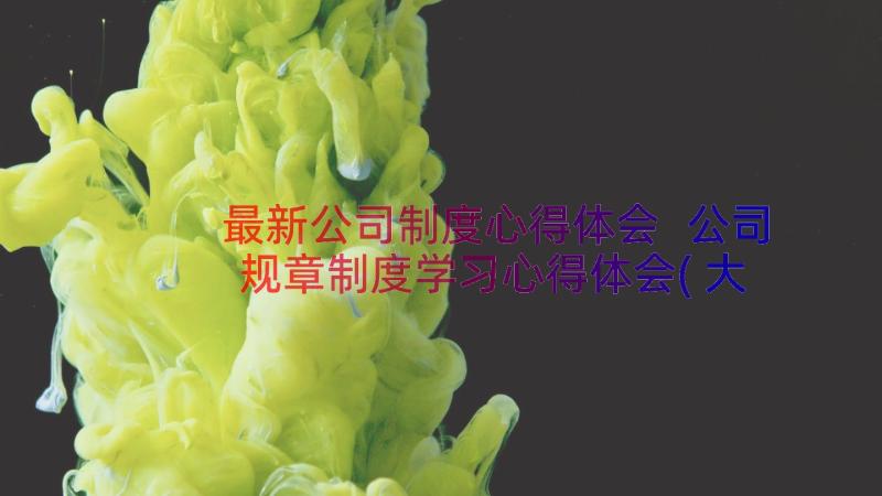 最新公司制度心得体会 公司规章制度学习心得体会(大全10篇)