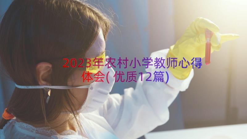 2023年农村小学教师心得体会(优质12篇)