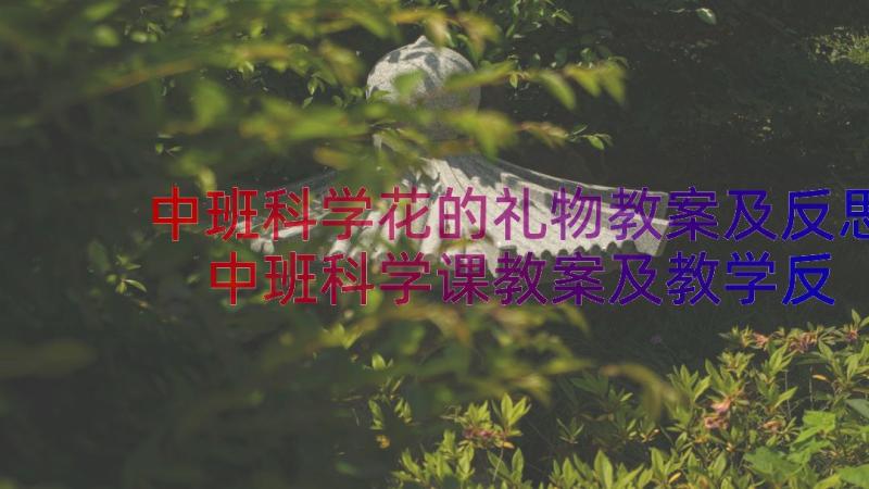 中班科学花的礼物教案及反思 中班科学课教案及教学反思礼物送给好妈妈(汇总8篇)