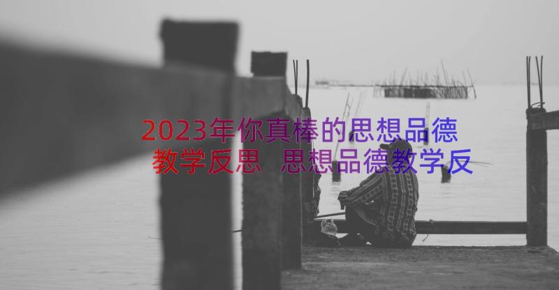 2023年你真棒的思想品德教学反思 思想品德教学反思(优质15篇)