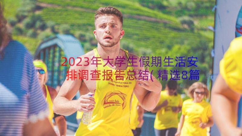 2023年大学生假期生活安排调查报告总结(精选8篇)