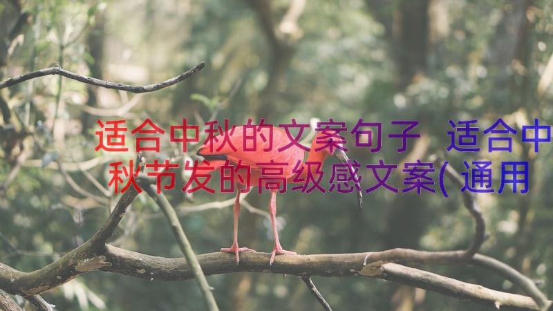 适合中秋的文案句子 适合中秋节发的高级感文案(通用18篇)