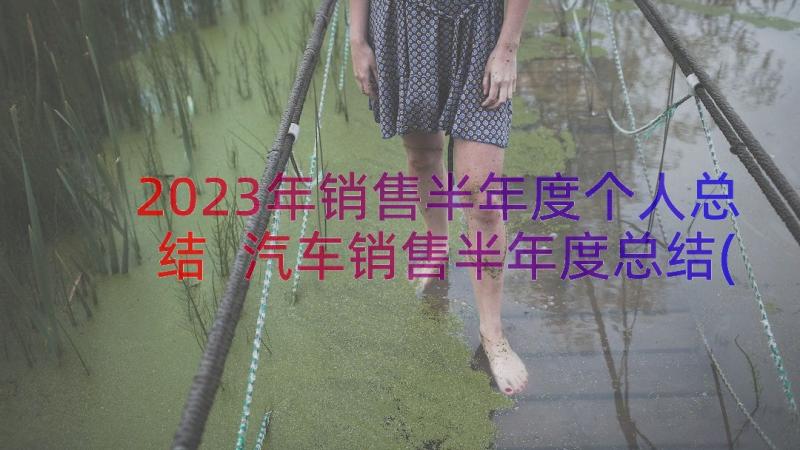 2023年销售半年度个人总结 汽车销售半年度总结(汇总16篇)