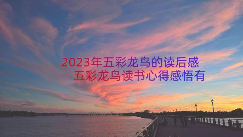 2023年五彩龙鸟的读后感 五彩龙鸟读书心得感悟有感(汇总6篇)